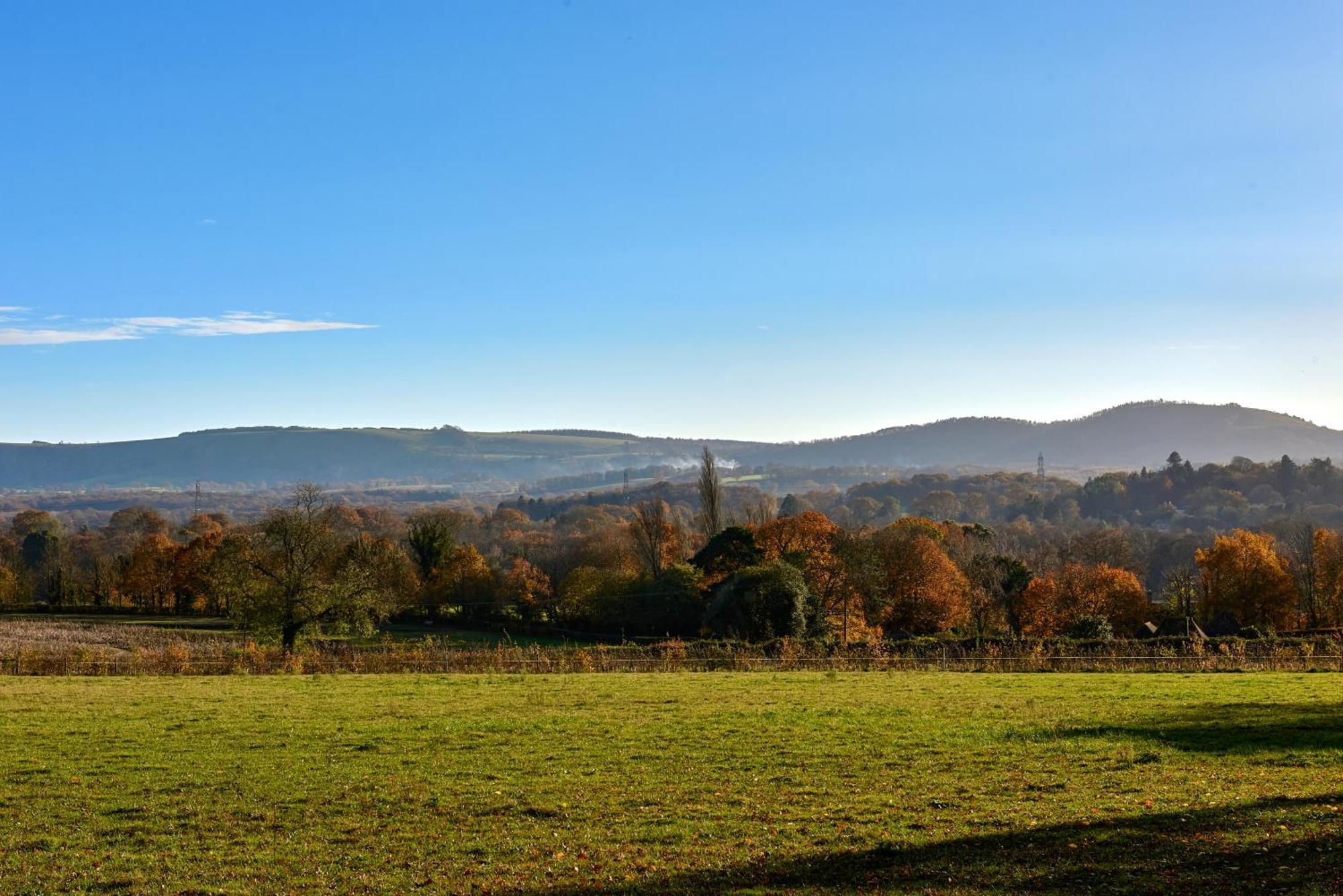 Stunning Cabin With Incredible Views Near Goodwood Rogate المظهر الخارجي الصورة