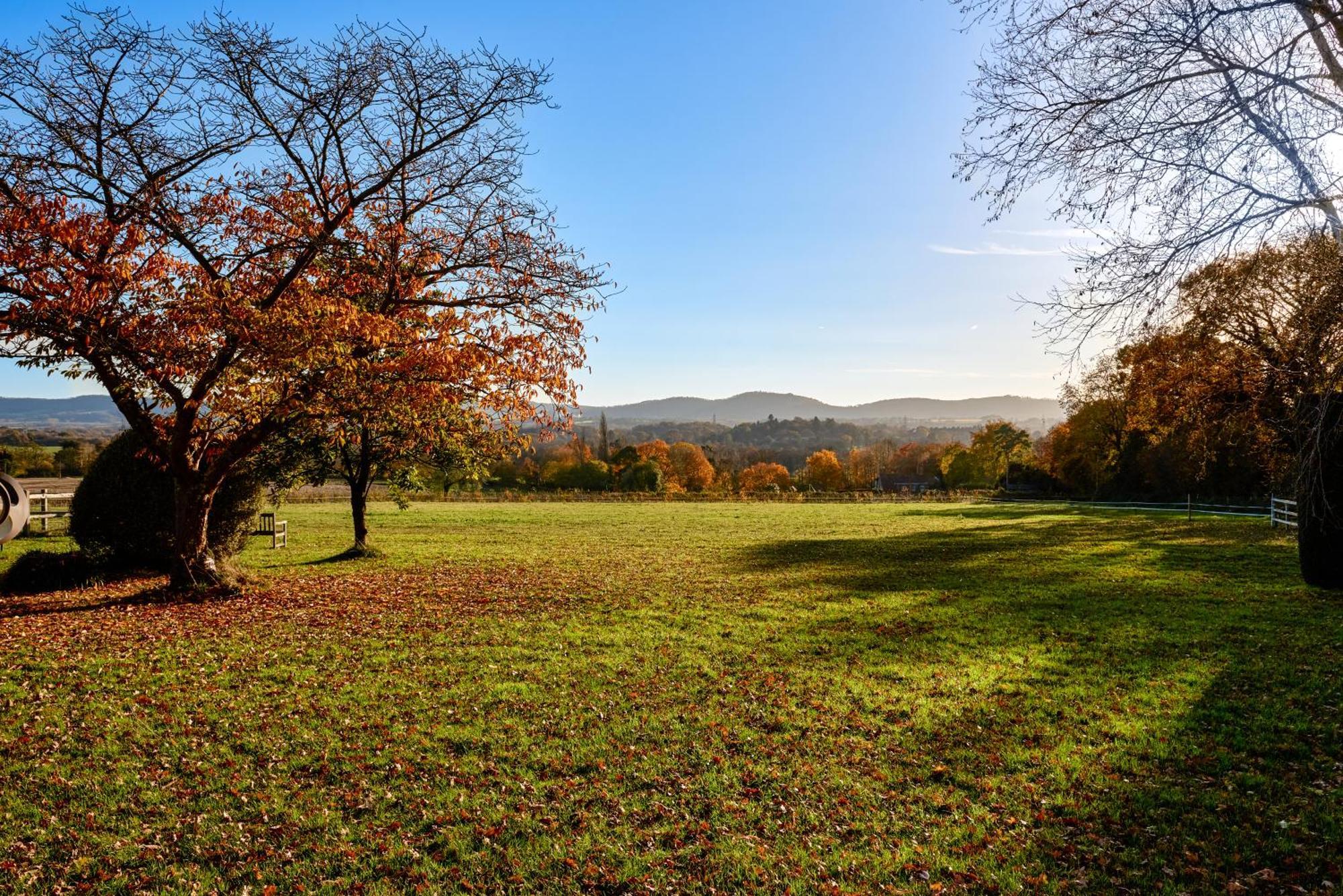 Stunning Cabin With Incredible Views Near Goodwood Rogate المظهر الخارجي الصورة