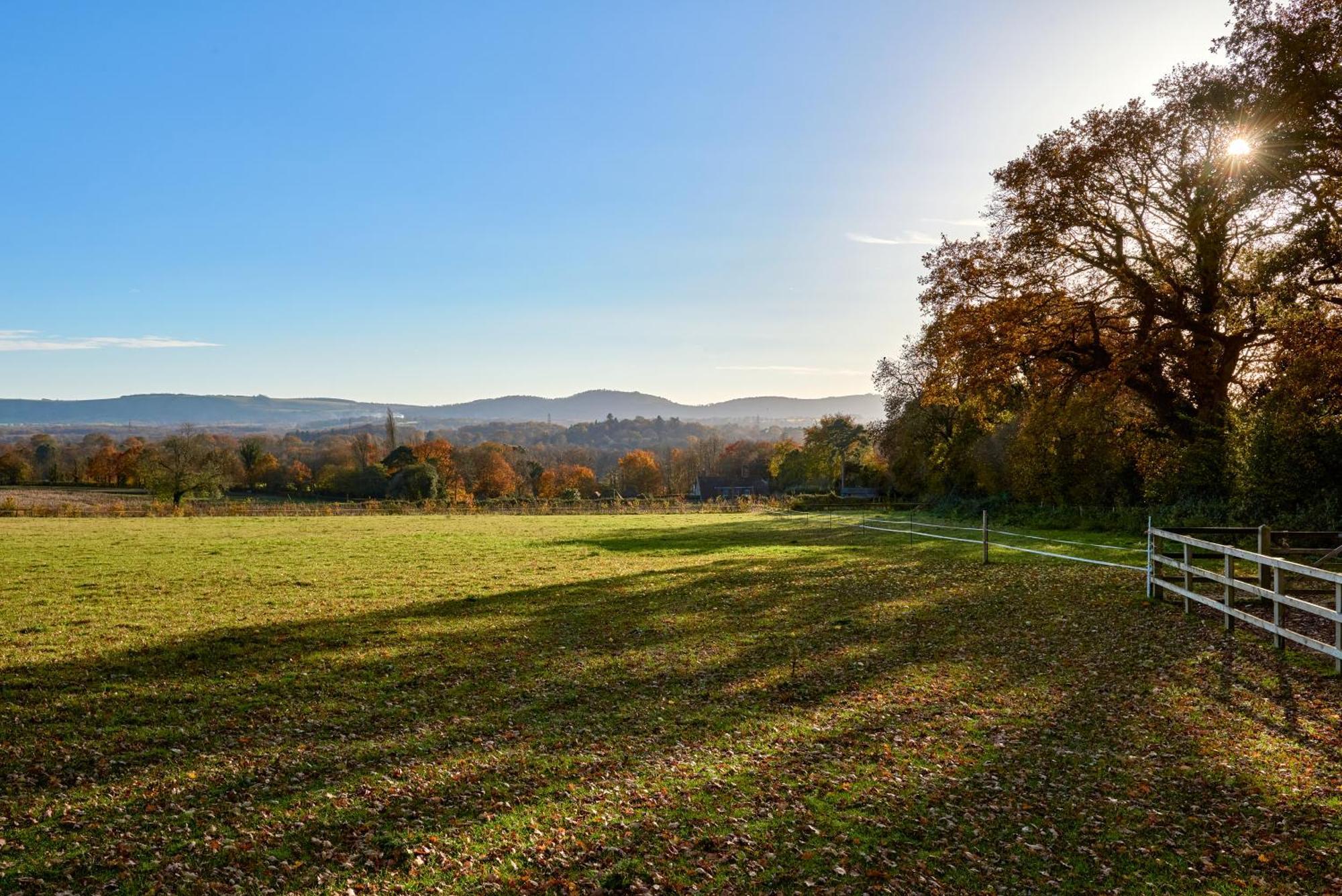 Stunning Cabin With Incredible Views Near Goodwood Rogate المظهر الخارجي الصورة