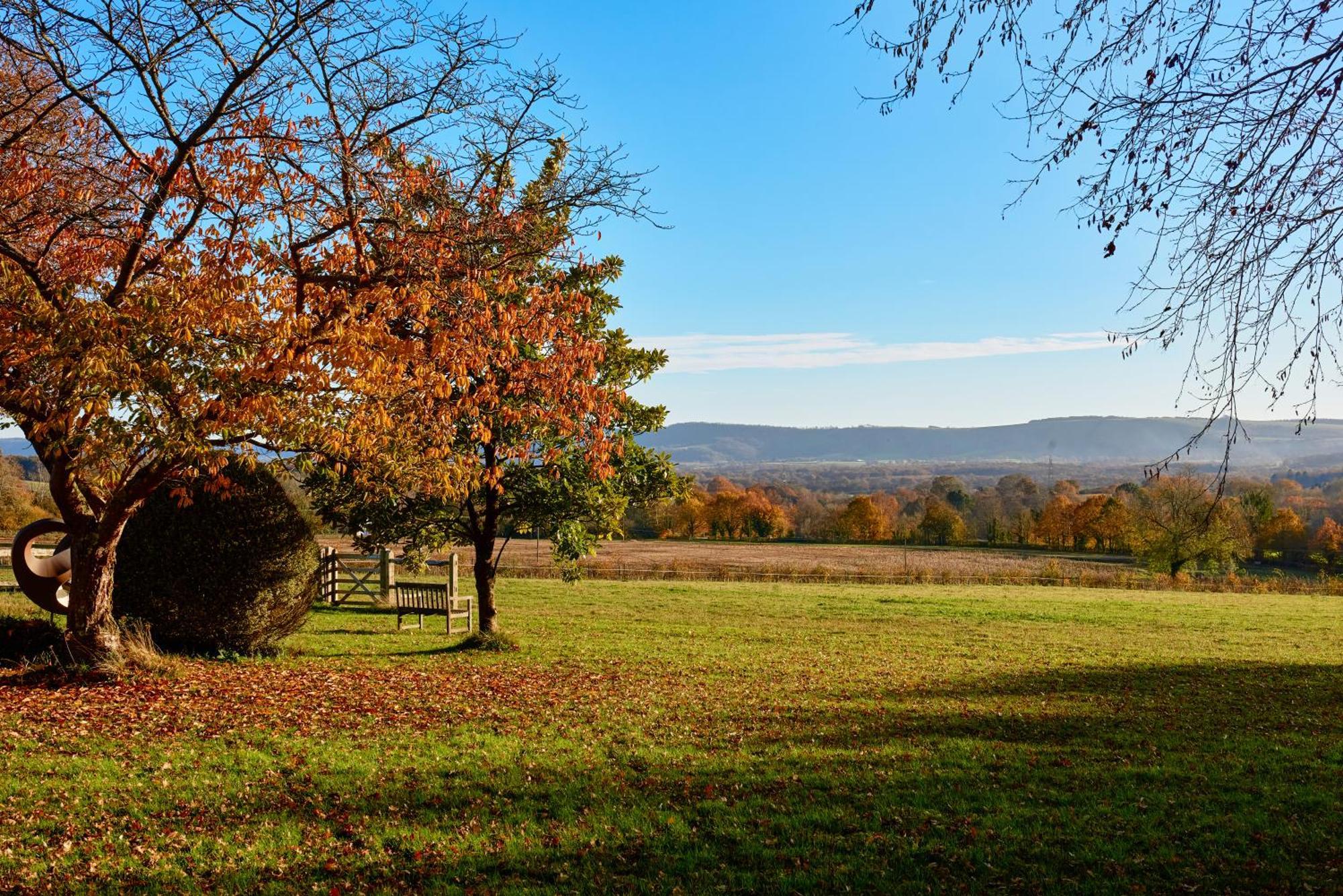 Stunning Cabin With Incredible Views Near Goodwood Rogate المظهر الخارجي الصورة