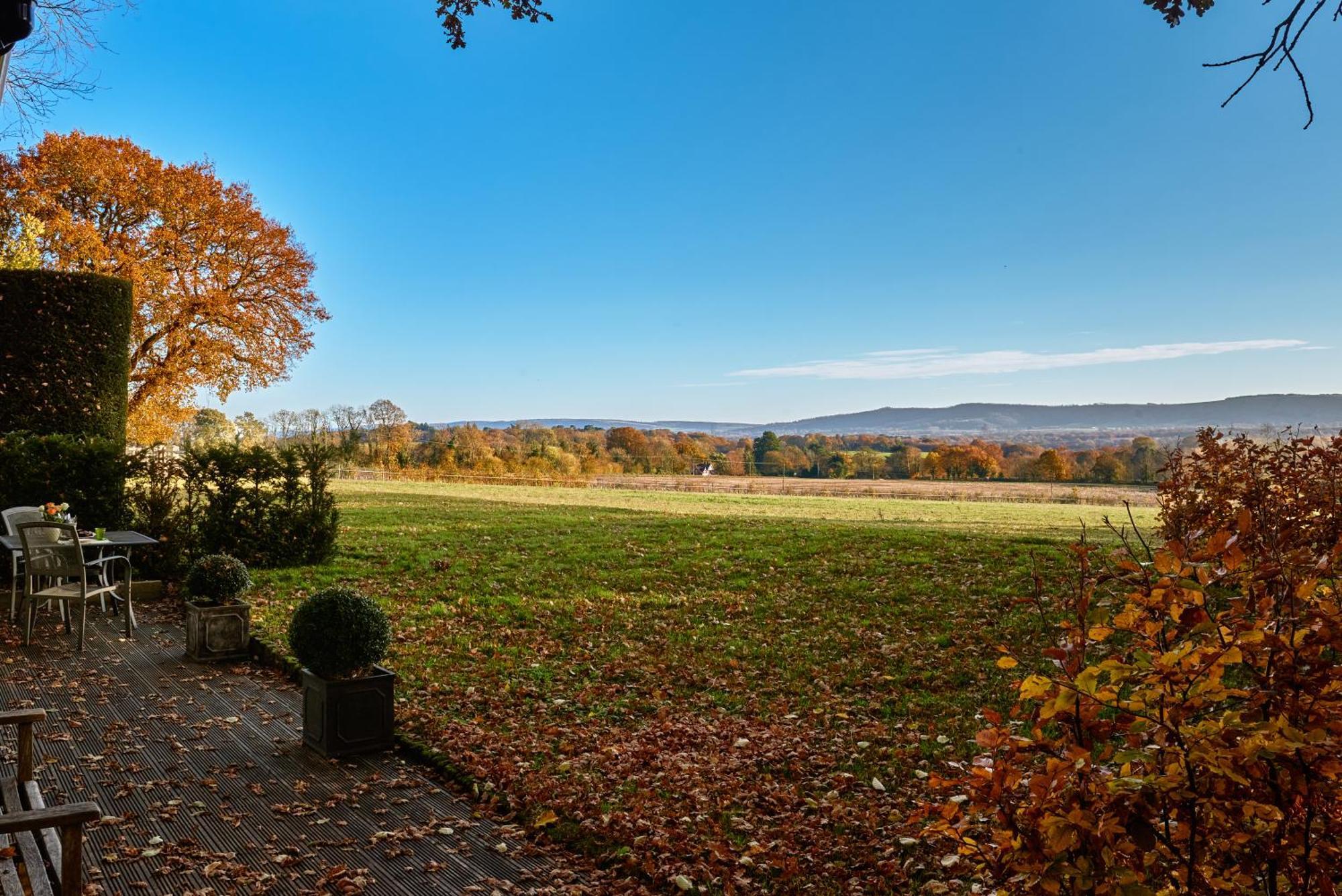 Stunning Cabin With Incredible Views Near Goodwood Rogate المظهر الخارجي الصورة