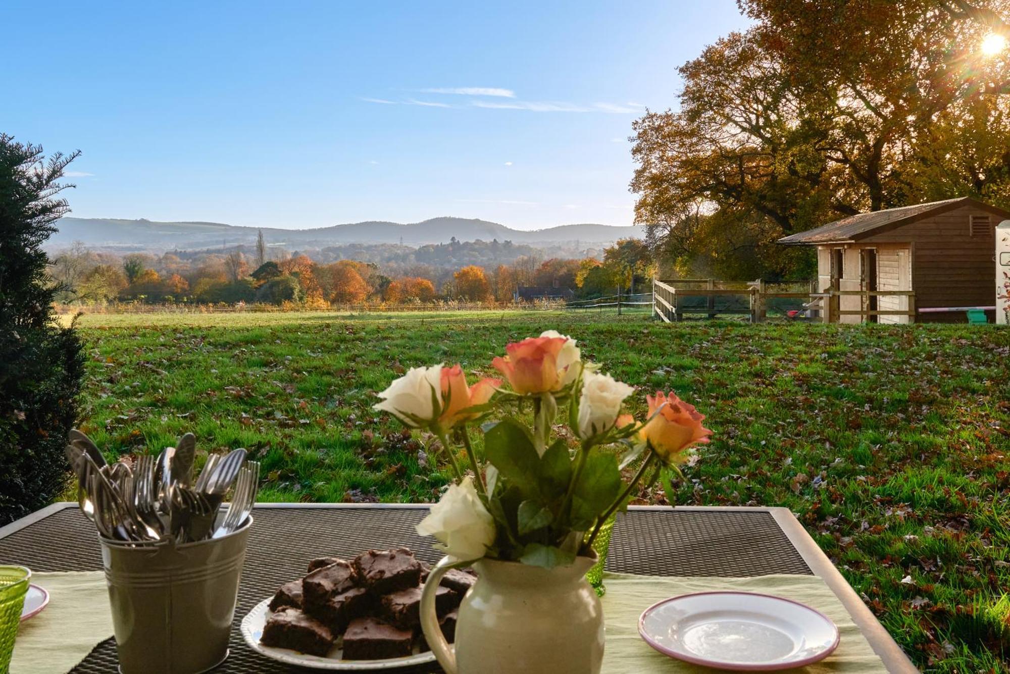 Stunning Cabin With Incredible Views Near Goodwood Rogate المظهر الخارجي الصورة