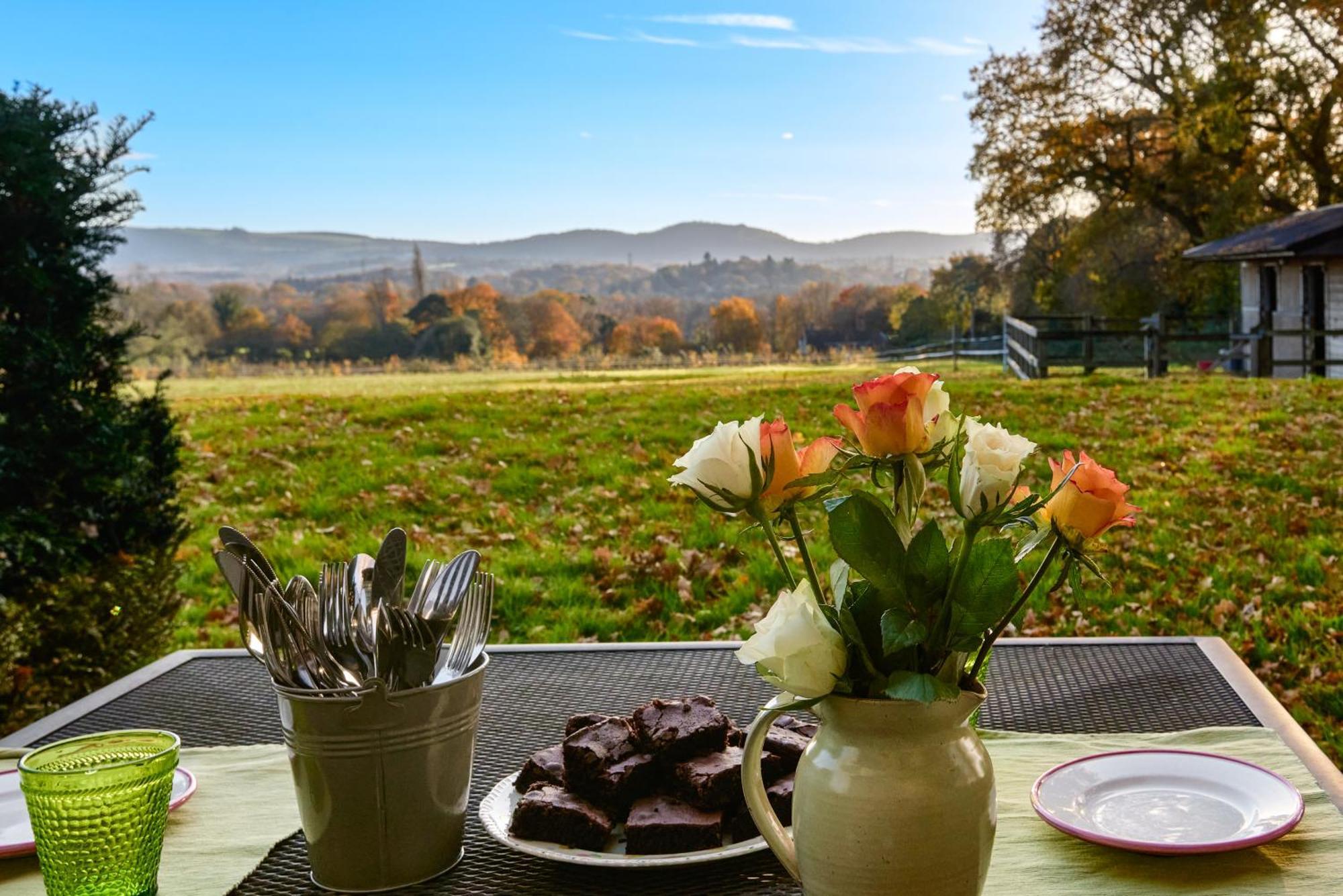 Stunning Cabin With Incredible Views Near Goodwood Rogate المظهر الخارجي الصورة